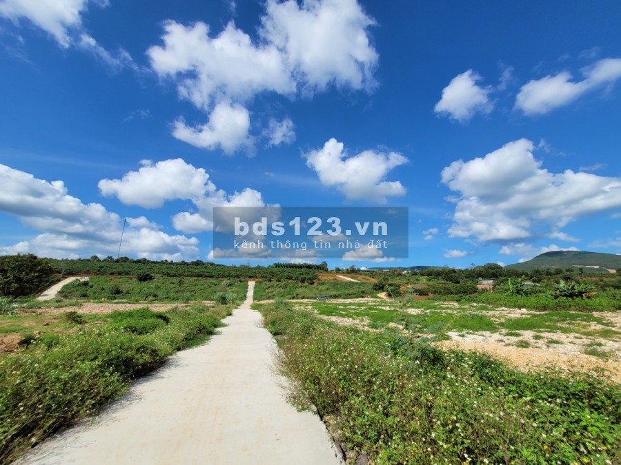 Bán đất Đông Thanh, Nam Ban, Lâm Hà, sổ hồng riêng, vị trí đắc địa