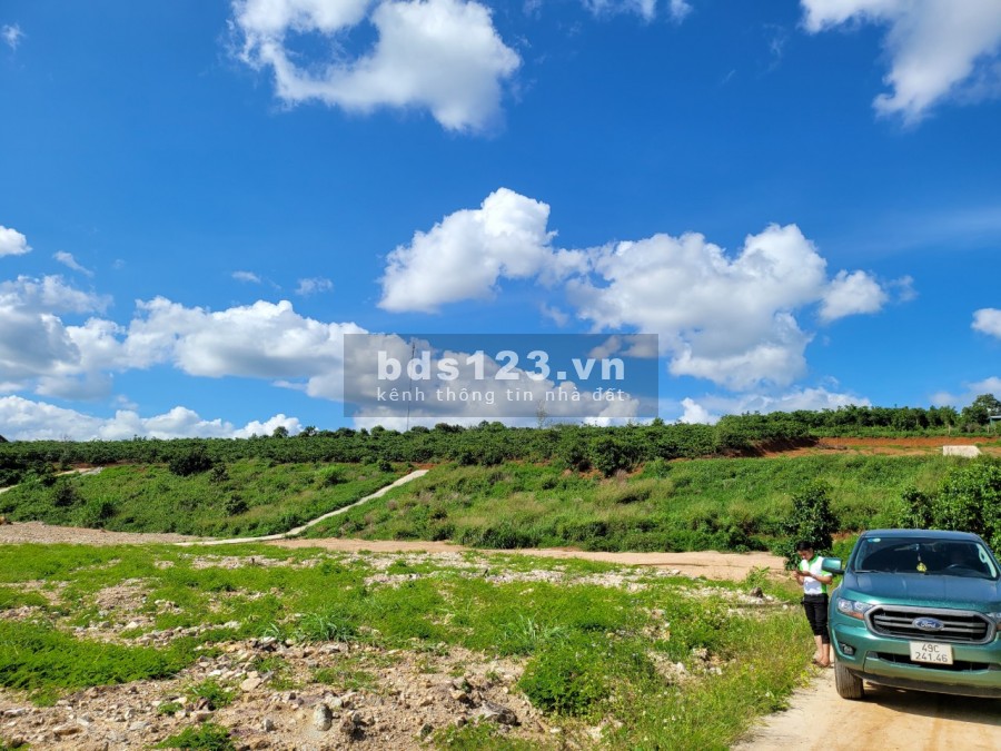 Bán đất Đông Thanh, Nam Ban, Lâm Hà, sổ hồng riêng, vị trí đắc địa