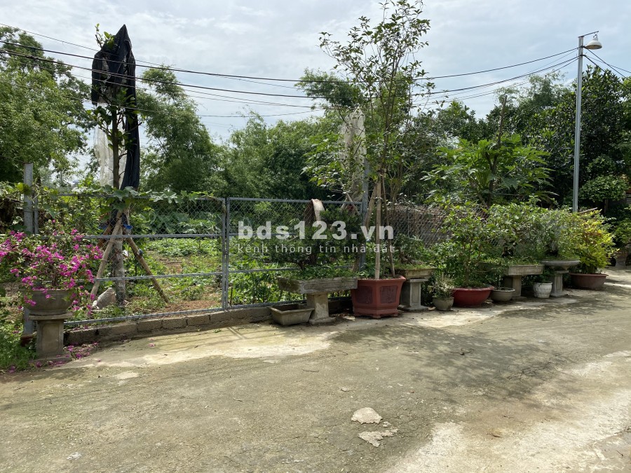 336m2 full đất ở. Ngay trường THPT Thạch Thất đi vào 300m. Làm nhà làm xưởng đều được.