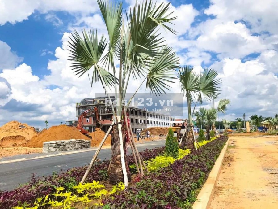Đất nền sân bay Long Thành giảm giá mạnh mùa covid cơ hội đầu tư