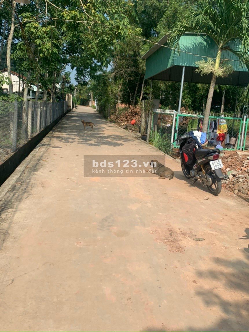 Chính chủ gửi bán lô đất ngay Tân An, khu dân cư đông đúc, vị trí đẹp