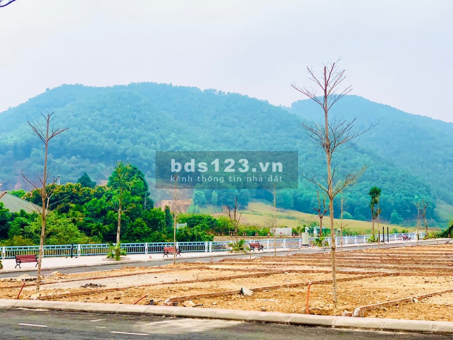 Duy nhất 1 lô nằm trên trục đường bãi dài rộng 50m, đối diện khu C xanh vilas