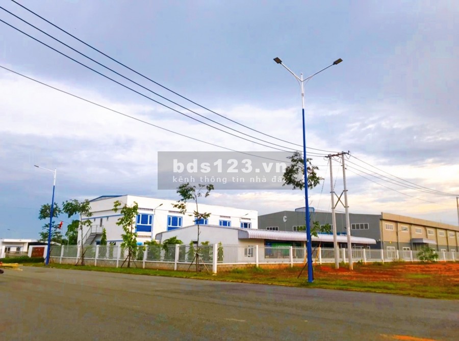 Qua năm về Đà Nẵng đinh cư nên bán gấp 1.8ha ngay Chợ, sổ hồng, thổ cư, giá 168 triệu/sổ, đường 21m
