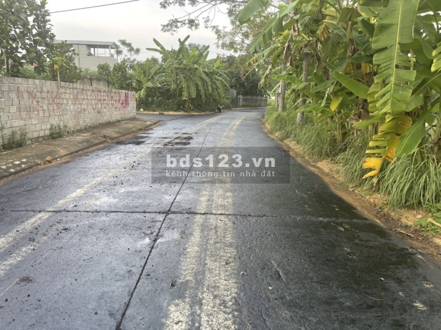 Chào bán 40 lô đất thuộc khu Tái Định Cư Đồng Doi - Yên Bài - Ba Vì