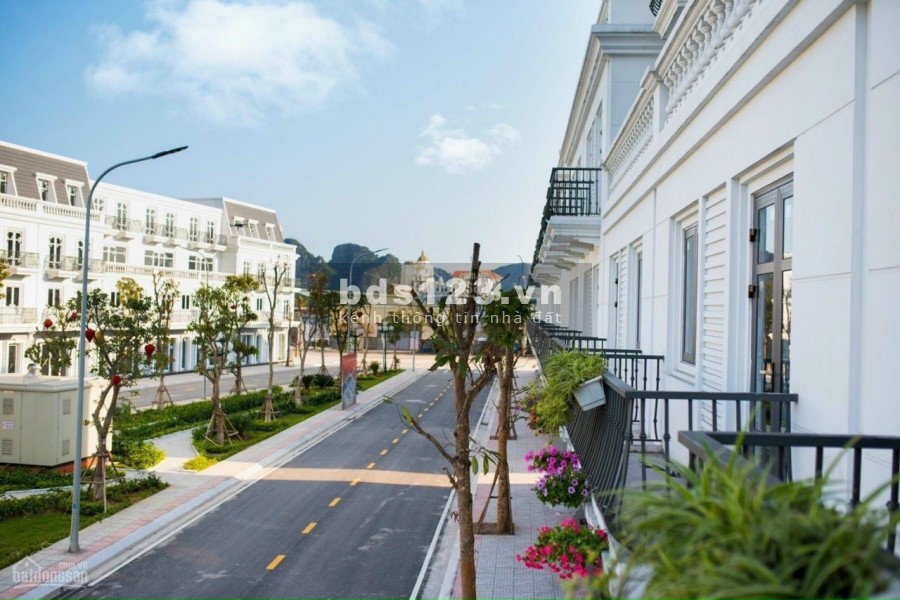 Chính chủ cần bán lô shophouse có sổ đỏ liền kề Vincom Cẩm Phả