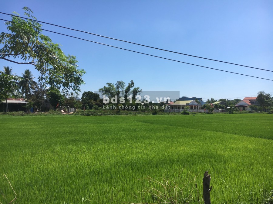 Cần tiền bán gấp lô đất gần đường ĐT 605, đầy đủ tiện ích, hướng Đông mát mẻ, sẵn sổ đỏ