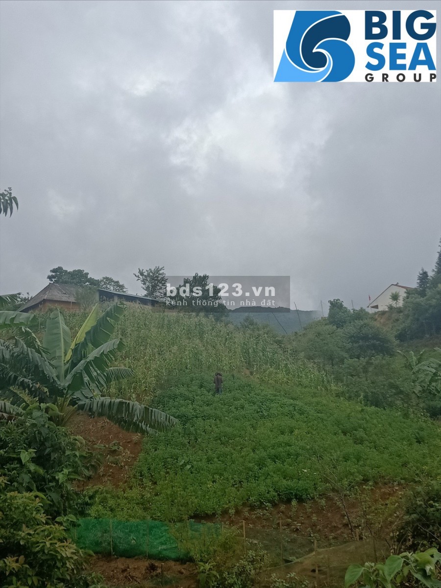 Đất nền trung tâm hành chính xã Y Tý mới nơi đầu tư tiềm năng nhất giai đoạn 1
