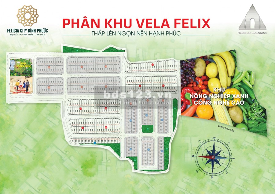 Đầu tư đất nền Bình Phước chỉ cần 200tr sỡ hữu ngay 100m2 đường nhựa 15m ( Bank hỗ trợ 50%)