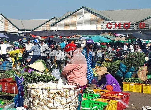 Chính chủ cần bán gấp 9 sào đất liền kề, ngay chỗ Ủy bản nhân dân xã Quang Minh, sổ hồng, 450 triệu