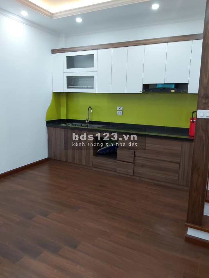 Nhà phố Tôn Đức Thắng ô tô đổ cửa kinh doanh online dt khung, mt rộng giá 2.95 tỷ