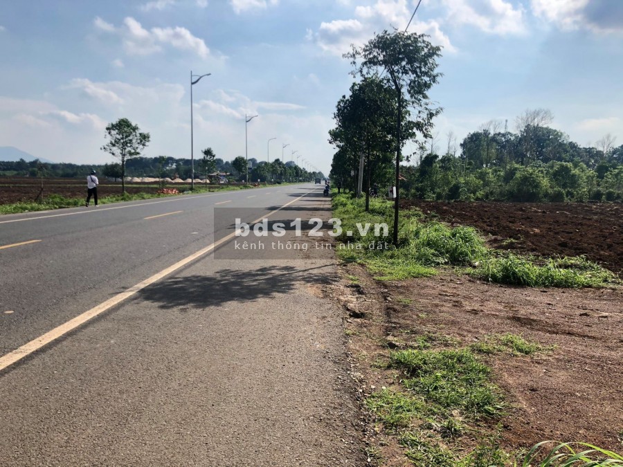 Phú Mỹ Avenue - đất vàng mặt tiền Phú Mỹ, thành phố cảng đầy tiềm năng