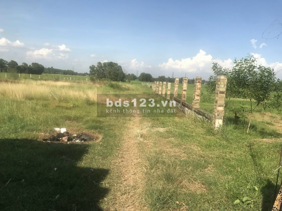 Bán Lô đất 130m2 giá 439 Triệu đồng – kế bên Resort Thiên Nhiên Diên Đồng