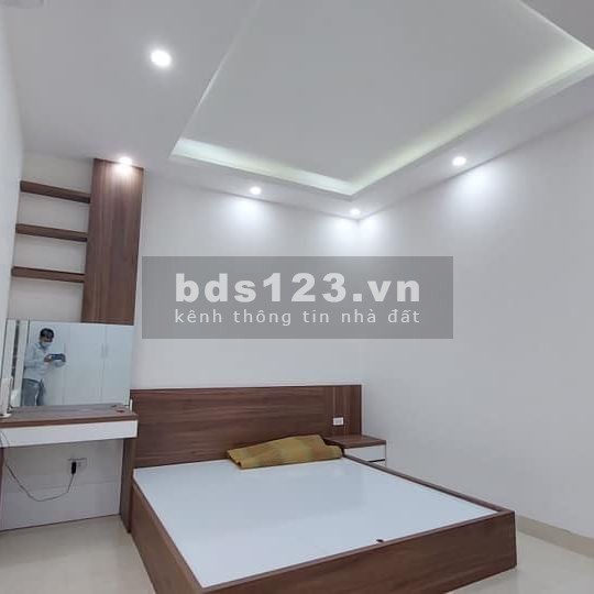 Bán nhà Tam Trinh Yên Sở phân lô xây dựng cao cấp 5M ra phố dt 38m2 đúc 5 tầng