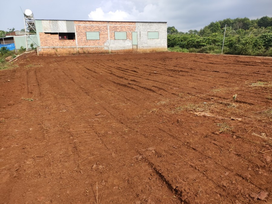 Chính chủ cần tiền bán gấp 9000m đất huyện Dăk GLong, Đắk Nông thích hợp làm Farmstay.