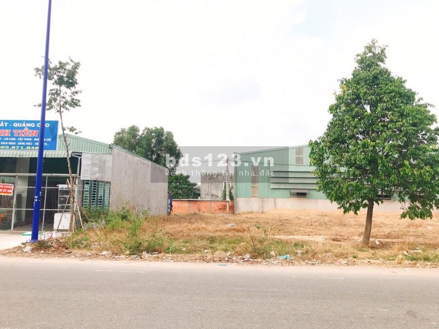 Chính chủ cần bán gấp 9 sào đất liền kề, ngay chỗ Ủy bản nhân dân xã Quang Minh, sổ hồng, 450 triệu