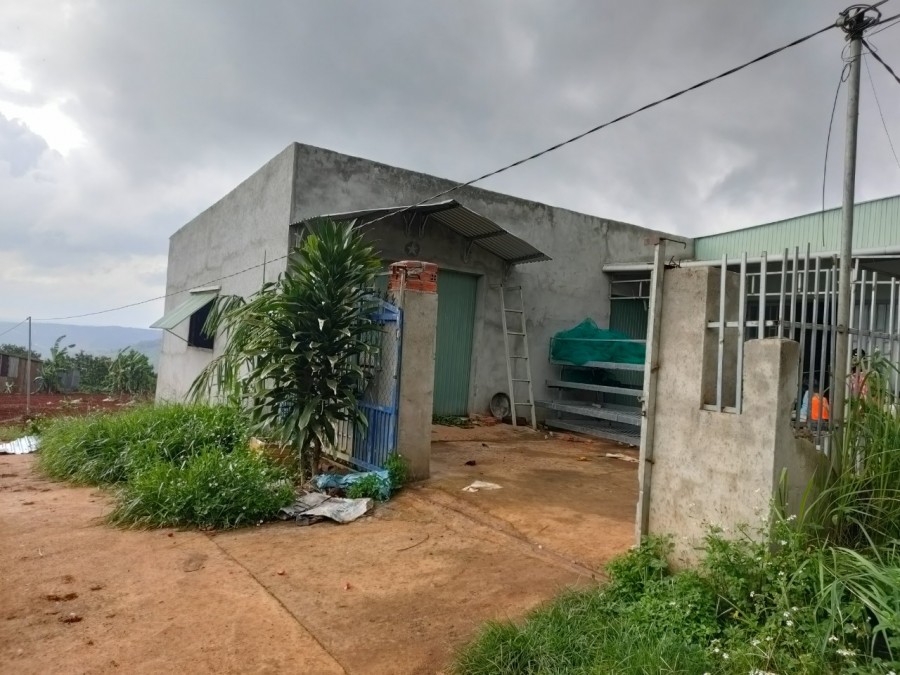 Chính chủ cần tiền bán gấp 9000m đất huyện Dăk GLong, Đắk Nông thích hợp làm Farmstay.