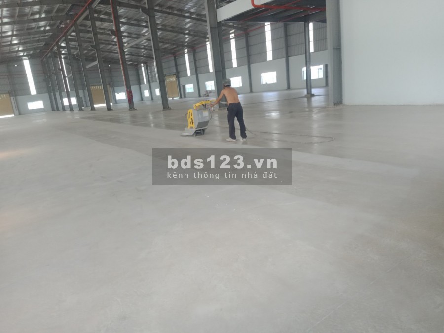 Cho thuê kho diện tích sử dụng 3280m2 KCN Hải Sơn Đức Hoà Hạ Long An