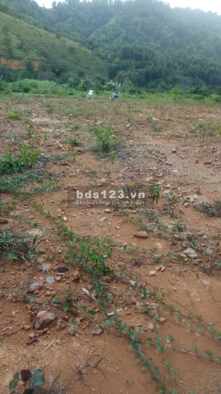Khu đất tiện tích 1.000m2 đất giáp sông đạ tẻh, phù hợp làm nhà nuôi yến