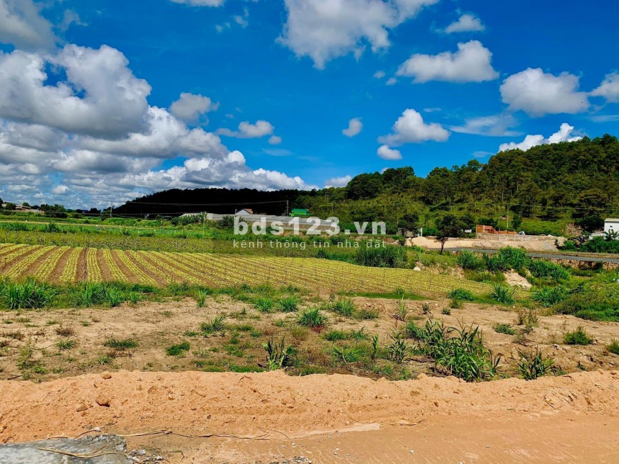 Đất view sông Đa Nhim, cách thị trấn Thạnh Mỹ, 2 km, có sẵn sổ riêng từng lô, giá hợp lí