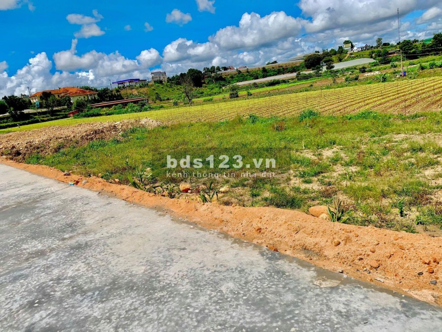 Đất view sông Đa Nhim, cách thị trấn Thạnh Mỹ, 2 km, có sẵn sổ riêng từng lô, giá hợp lí