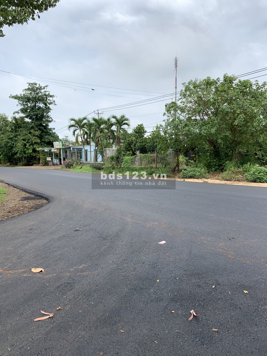 Người quen nhờ bán giùm 1 lô 1.3 tỷ thương lượng tại Hắc Dịch Phú Mỹ BR-VT LH 0906861505
