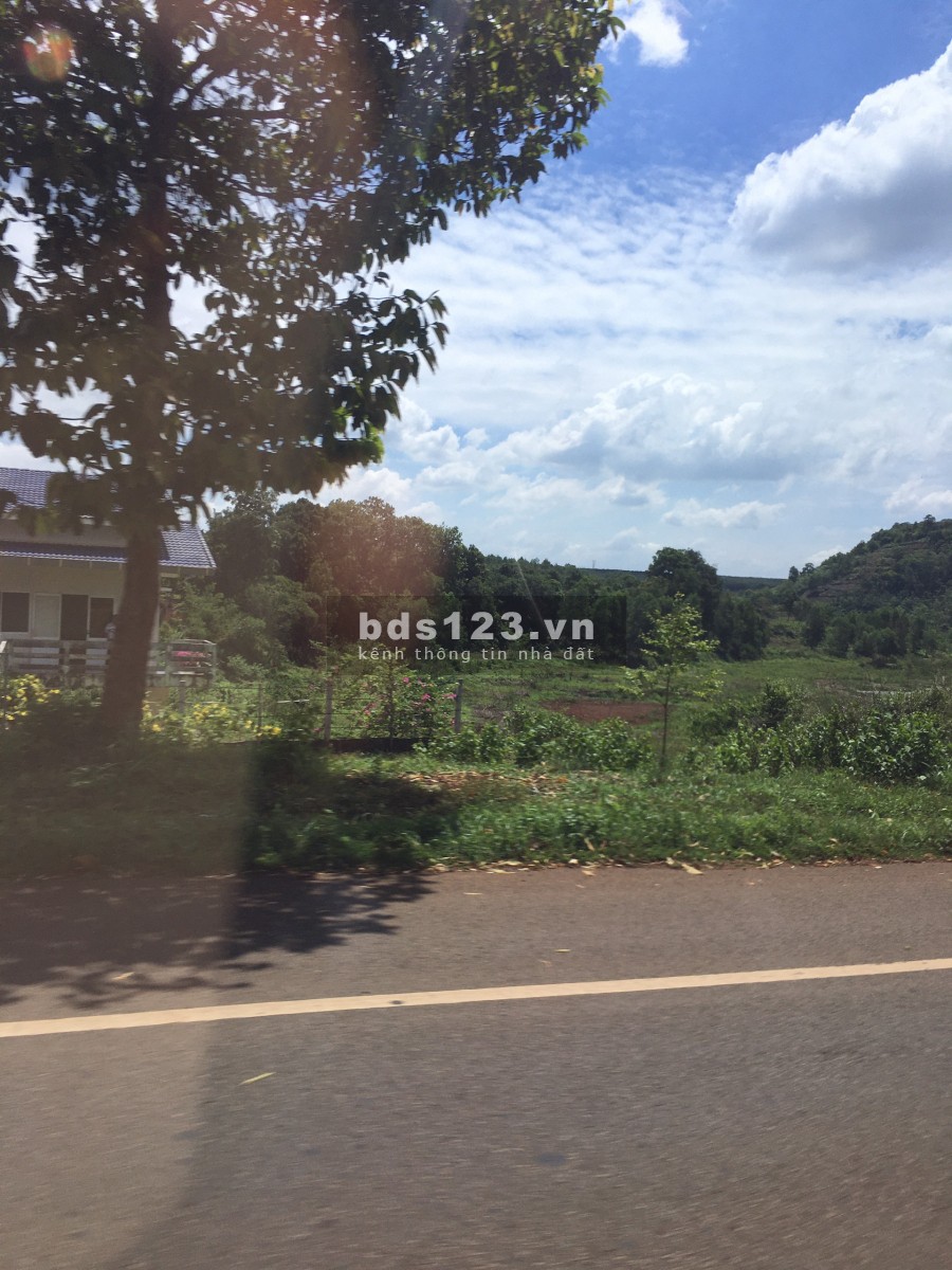 Phú Mỹ Avenue - đất vàng mặt tiền Phú Mỹ, thành phố cảng đầy tiềm năng