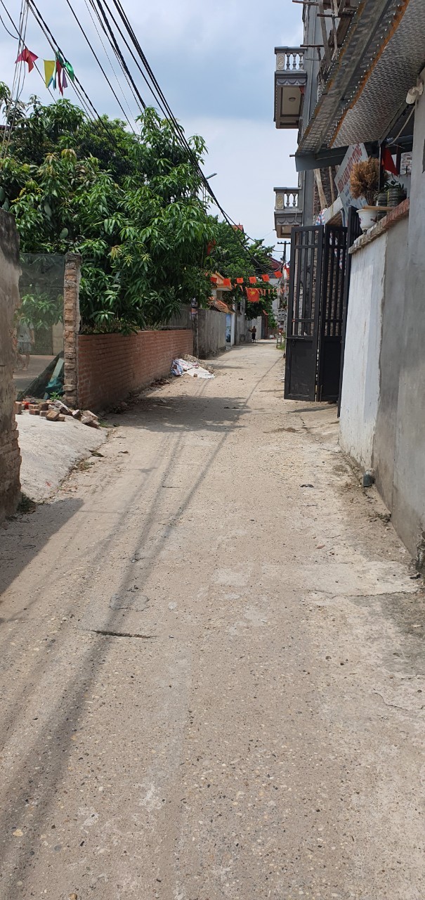  Bán 80m đất Thụy Hà, Bắc Hồng, Đông Anh - Ô tô thông - 19tr/m.