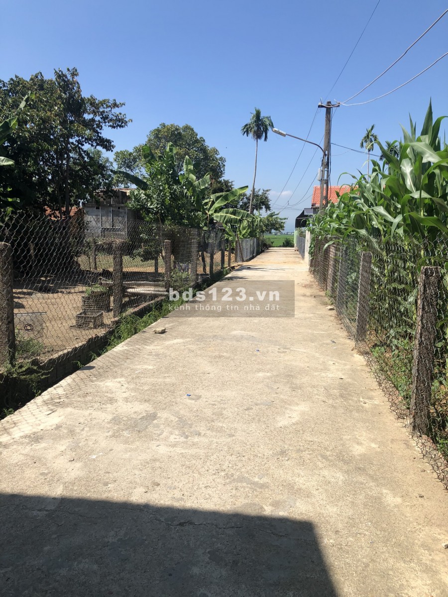 Cần tiền bán gấp lô đất gần ĐT 605, đường oto, kdc, giá bán nhanh mùa dịch