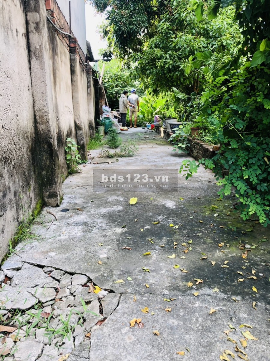 Đất đầu tư lãi ngay tại Đặng Xá Gia Lâm, 56m chỉ 25tr/m bao phí