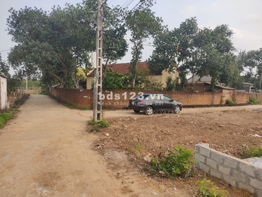 Chính chủ NB Lô góc 133m truc chính thôn 8 - Tân xã, đường ô tô tránh nhau thoải mái