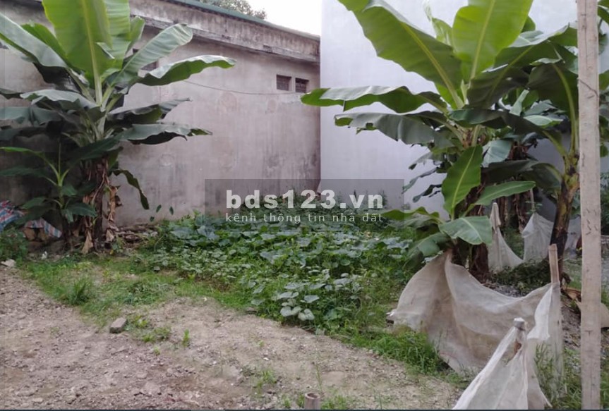 Bán mảnh đất Mậu Lương diện tích 35m2 mặt tiền 3.8m, liên hệ 0969968247
