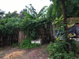 Cần bán gấp đất An Đào B Trâu Quỳ liên hệ 0565839533, giá bán 2.5 tỷ, sổ chính chủ