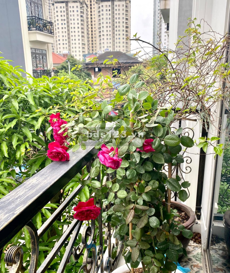 Bán gấp biệt thư, nhà liền kề đẹp nhất Văn Khê tặng nội thất nhập khẩu Đức giá 7.3 tỷ