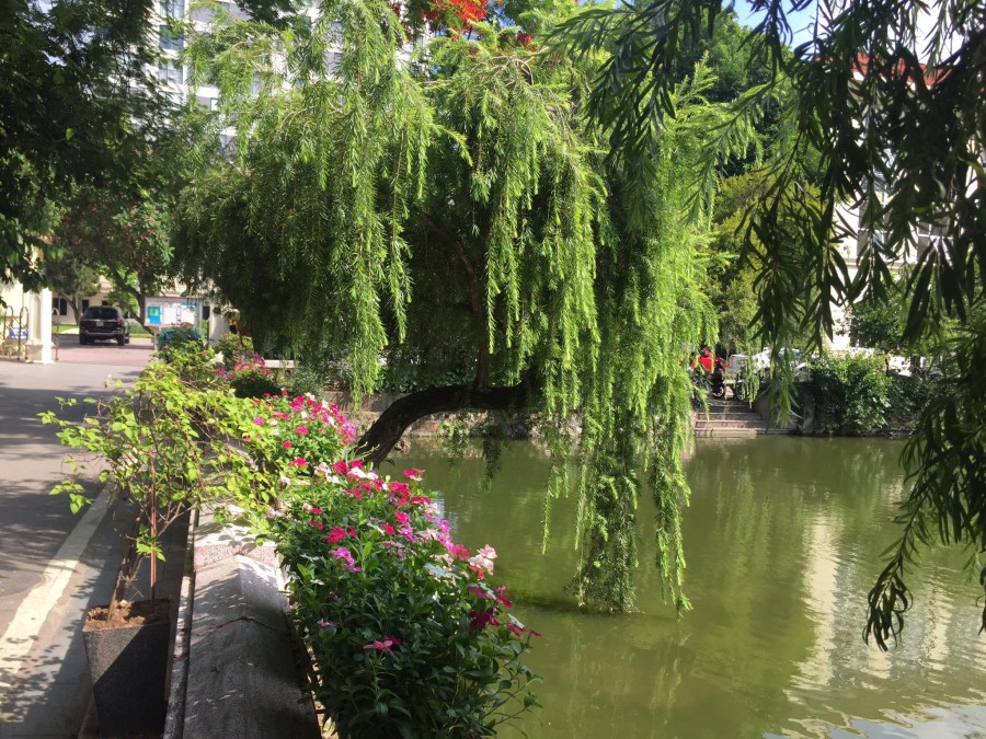 Mảnh đất vàng Cầu Giấy view hồ Quân Ủy dt 70m2 mt 4.6m, giá bán 15 tỷ, liên hệ chính chủ