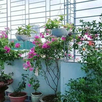 Bán nhà Võ Chí Công, dt 83m2, 5 tầng, mt 7,5m, nhà mới, hiện đại, 3 mặt thoáng, giá 10.8 tỷ