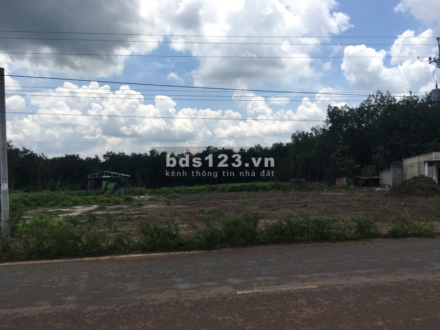 Cần bán gấp miếng đất dt 10000m2, gần kcn Becamex khu dân cư, đường lớn, 160 triệu/sào
