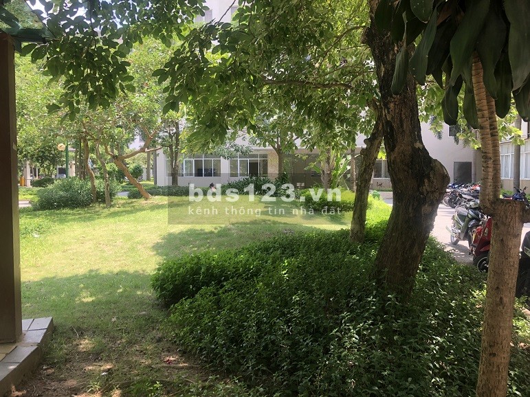 Bán chung cư Đặng Xá 58m2, sổ hồng, thấp tầng, nhiều nội thất chỉ hơn 800 triệu.