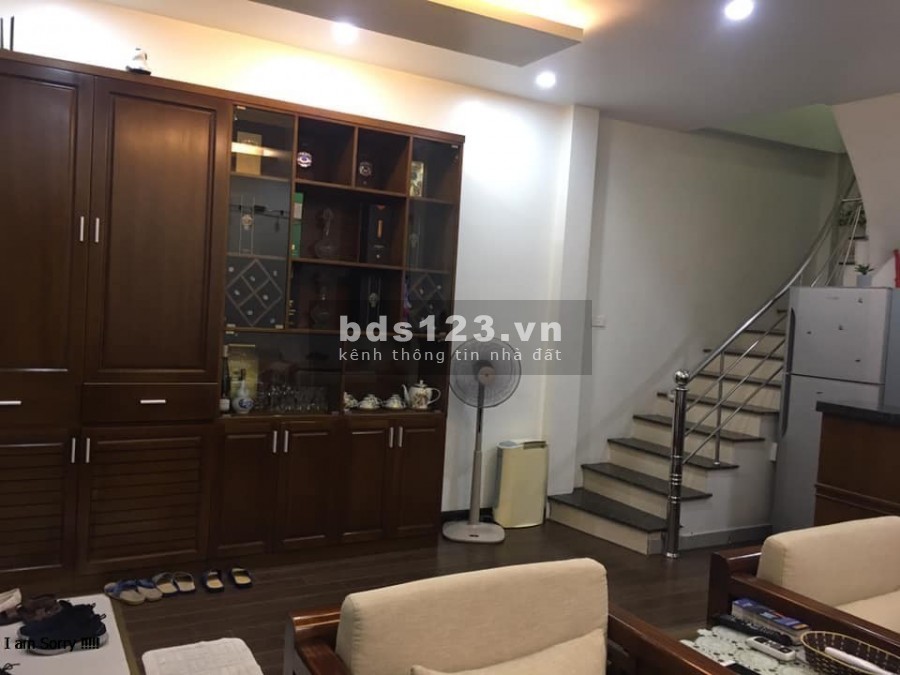 Bán gấp nhà riêng phố Sơn Tây, Ba Đình 40m2, 4 tầng, giá 7,3 tỷ. Phân lô gần phố.