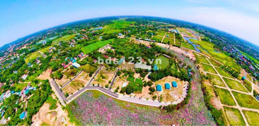 Chính chủ bán cắt lỗ 1 lô view hồ sen 3h/a mặt tiền 5m dt 90m2 giá hơn tỷ
