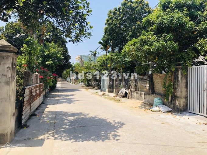 Chính chủ cần bán vài lô kiệt Hoà Quý giá rẻ sụp hầm mùa dịch chỉ từ 1.1 tỷ