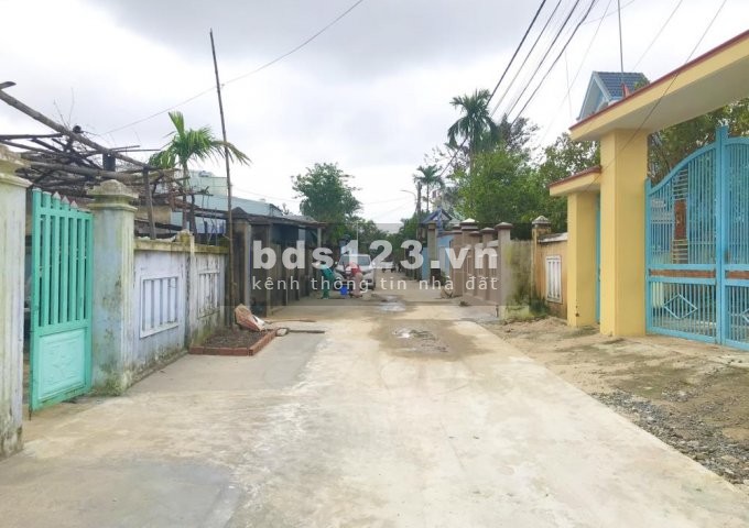 Chính chủ cần bán vài lô kiệt Hoà Quý giá rẻ sụp hầm mùa dịch chỉ từ 1.1 tỷ