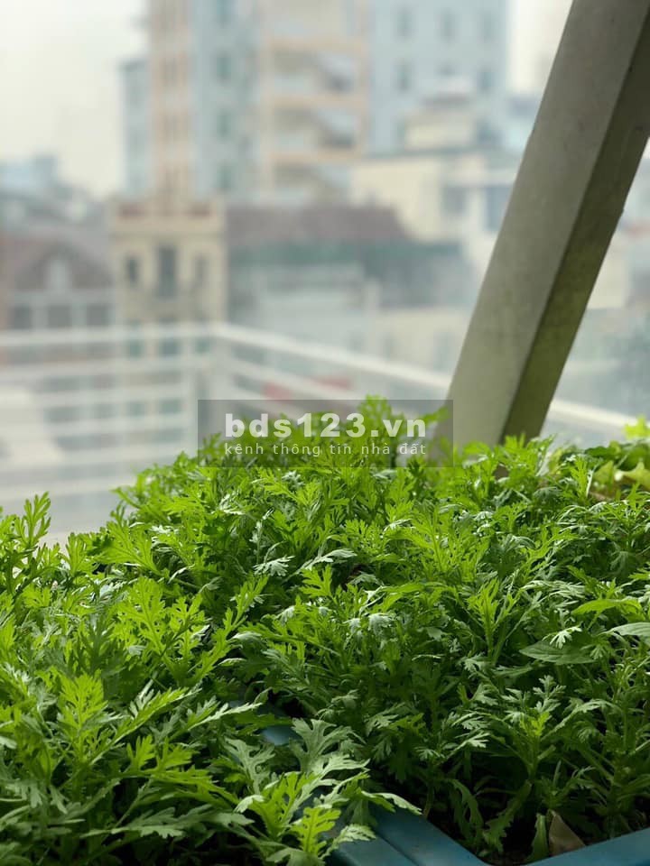 Liền kề đẳng cấp kinh doanh mọi loại hình, nội ngoại thất rát vàng, vị trí đắc địa, giá bán 22 tỷ