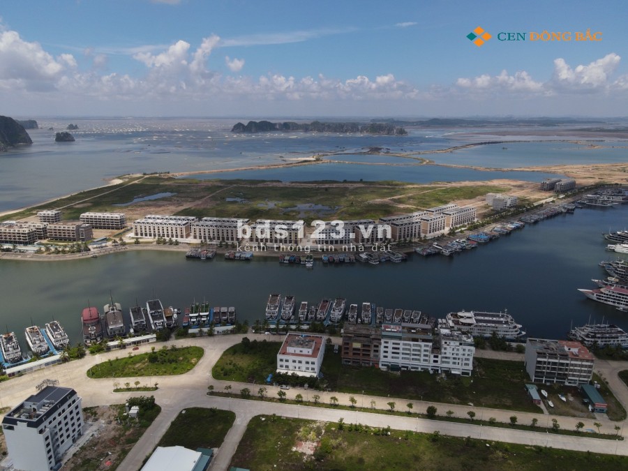 Dự án Tuần Châu Marina, cơ hội đầu tư kinh doanh từ Shophouse và biệt thự tại trung tâm du lịch đảo TUẦN CHÂU