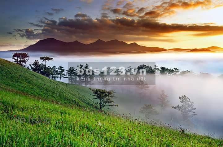 Bán đất chính chủ, sổ đẹp bao sang tên, đường Nam Ban,…