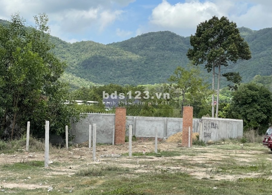 Chính chủ bán 1000m2 đất sào châu pha, gần trường mầm non Châu Pha, sổ riêng