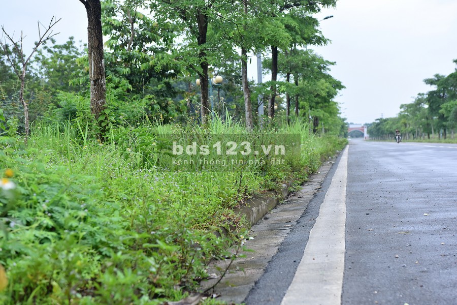 Chính chủ cần tiền bán đất nền ại Hòa Lạc Cổ Đông, liên hệ 0329010032, sổ sẵn