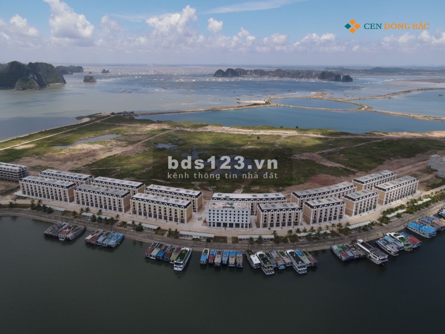 Dự án Tuần Châu Marina, cơ hội đầu tư kinh doanh từ Shophouse và biệt thự tại trung tâm du lịch đảo TUẦN CHÂU