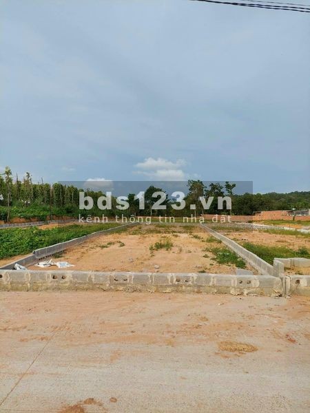 Đầu tư đất nền ngay chỉ với 200 triệu tại Phú Quốc, chiết khấu tốt cho khách hàng