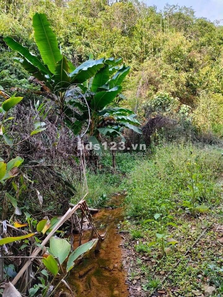 Bán nhanh lô 2.55hec đất nông nghiệp, đường lớn ô tô vào tận nơi, sổ có sẵn