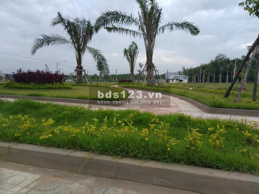 Đất thổ cư cặp sát khu trung tâm hành chính, chợ Bến Cát, Bình Dương, sổ hồng cầm tay